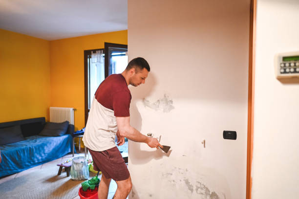 Best Emergency Mold Remediation in Desoto Lakes, FL